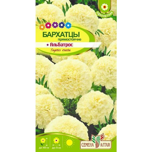 ���������� �����. �������� ��������� 0,1� (������ �����). ����� �� 3-� ���������.