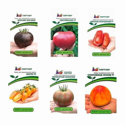 ���������� ����� ����� ������� ������� ��� ������� (����, ��������� �������, ��������, ��������� �����, ������� ���������, ������ ������)