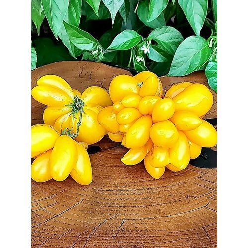 ���������� ������������� ������ ������ ������ ����