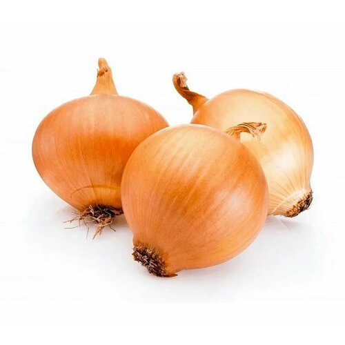 ���������� ������������� ������ ���� ����� ������