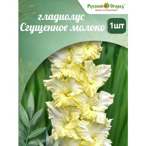 ���������� ��������� ������� ������ 