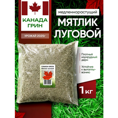 ���������� ������ ������� Canada Green 1 ��, ������ ������� 1 �� ������ ����