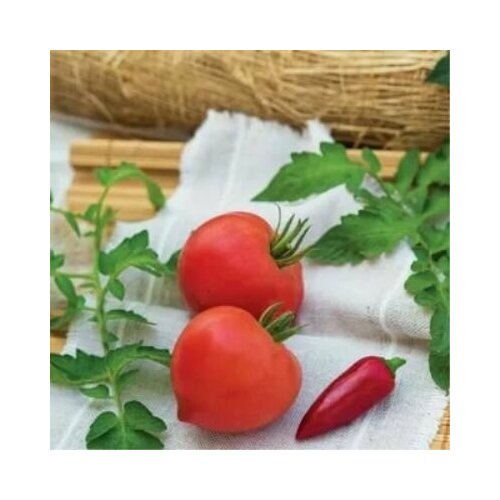 ���������� ������������� ������ ������ ������� �������