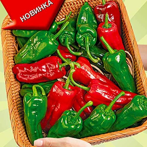 ���������� ������ ����� ������ ������ 5�� (������)