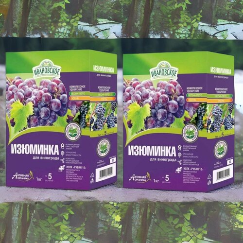 ���������� ����������� ��������� �������� ��� ��������� 1�� / 2��. ���������� ��������� ����������.