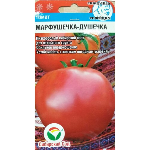 ���������� ����� ����������-������� (��������� ���), ����������� ��� ��������� ������ � �������� �������������, �������� � ������� �������� ��������, 20 �����