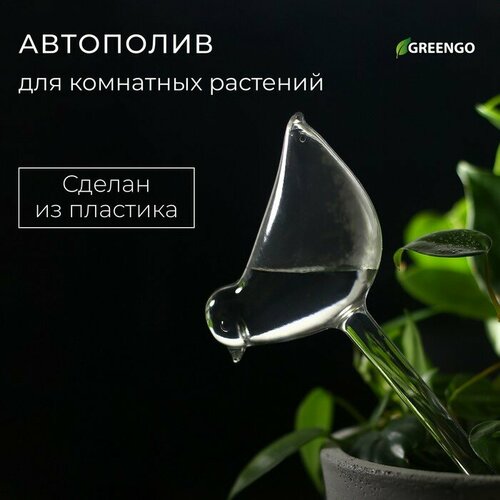 ���������� ��������� ��� ��������� ��������, ���, �������, Greengo