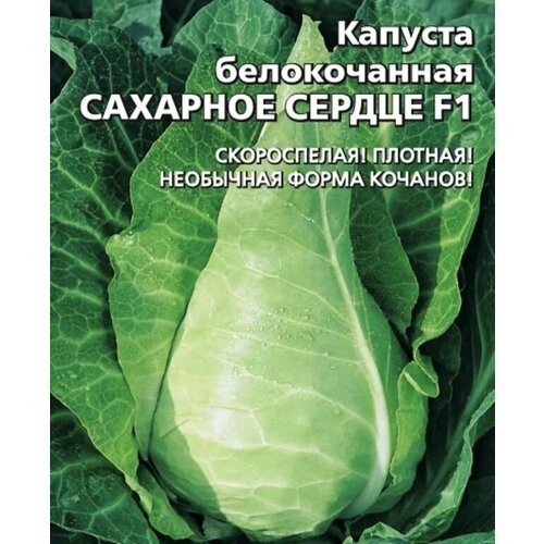 ���������� ������������� ������ ������� �/� �������� ������