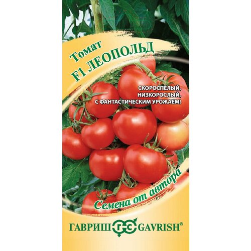 ���������� ������ ����� �������� F1, 12��, ������, ������ �� ������