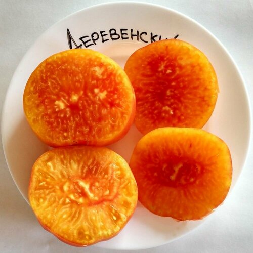 ���������� ������������� ������ ������ �����������