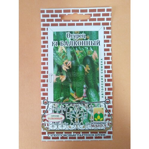 ���������� ������ ��������� 10�� �����