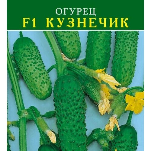 ���������� ������������� ������ ������ F1 ��������