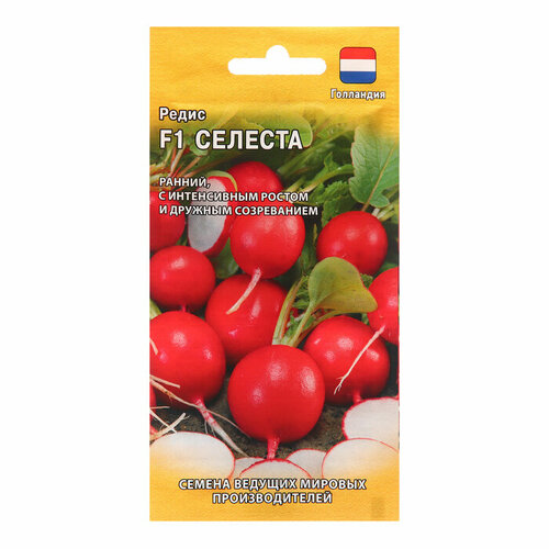 ���������� ������ ����� 