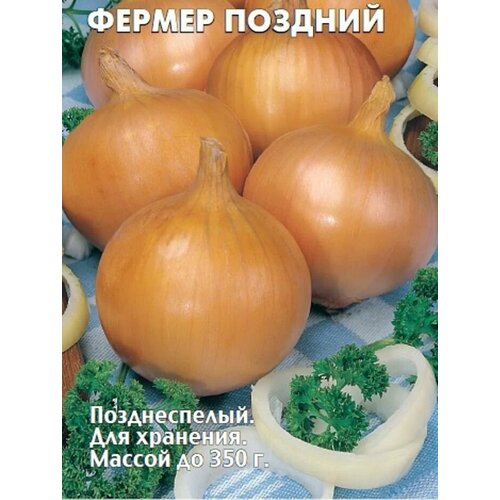 ���������� ������������� ������ ���� �������� ������ �������