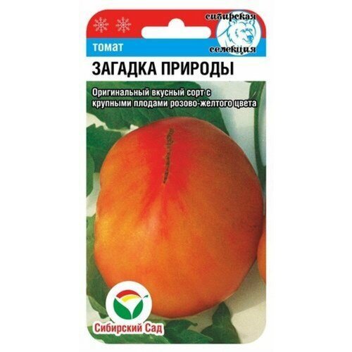 ���������� ������ ����� ������� ������� 20�� ����� (��������� ���)