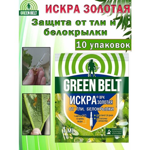 ���������� �������� ������ �������� green belt
