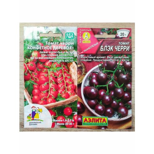 ���������� ������ �����: ��������� ������ � ���� �����