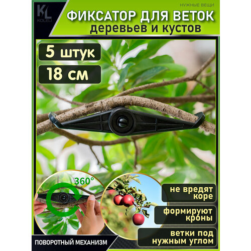 ���������� KoLeli / ���������� ��������� ��� ����� / �������� ��� ��������, ������������� ����� � ������, ������ / 5 ��