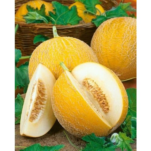 ���������� ������������� ������ ���� ������/