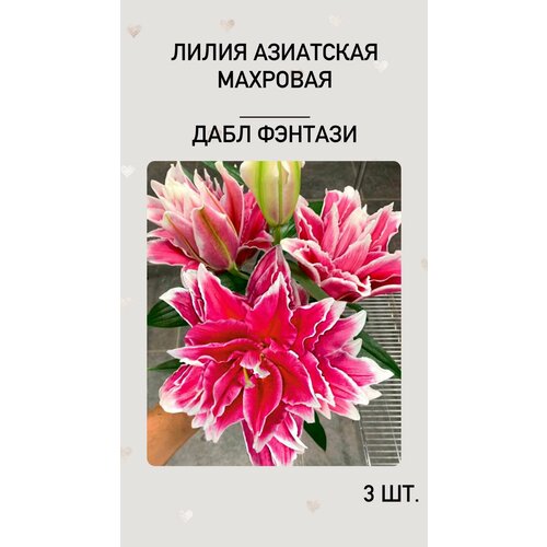 ���������� �����, �������� ����������� ������