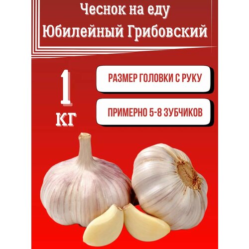 ���������� ������ ��� ��� ������.