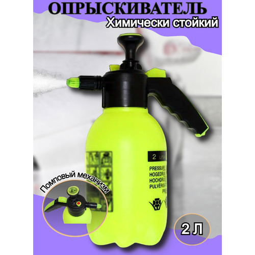 ���������� �������������(�����������) 