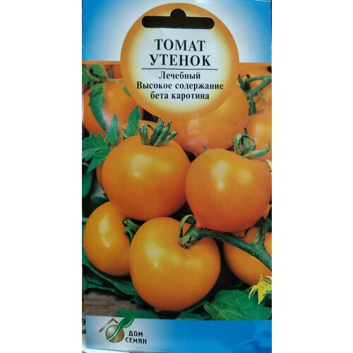 ���������� ����� ������, �������� ����������� ��������� ���� � �������� ��������������� ������, ������� ���������� ���� �������� ��� ������������ �������������� �����������, 30 �����