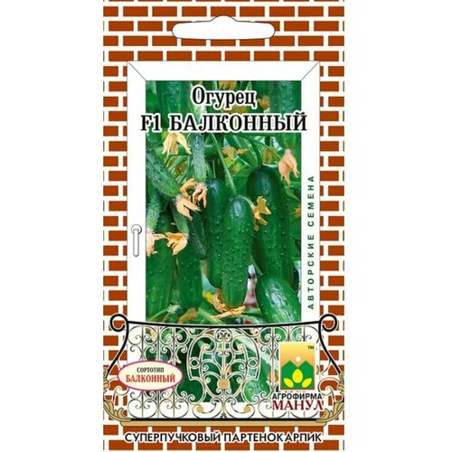 ���������� ������ ������ ��������� 10 ����� � �����