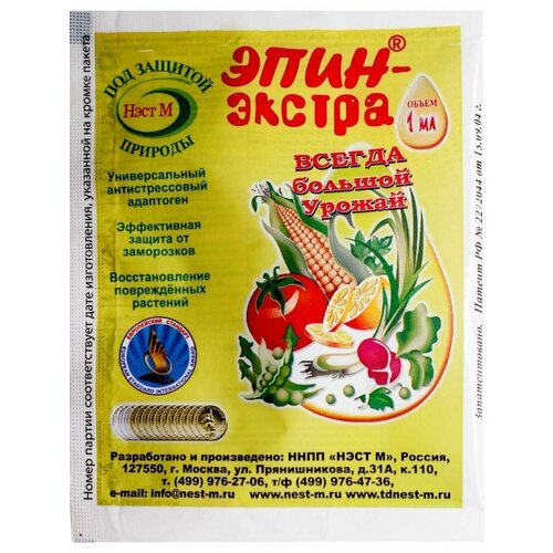 ���������� ����-������, 1��. (10 ��)