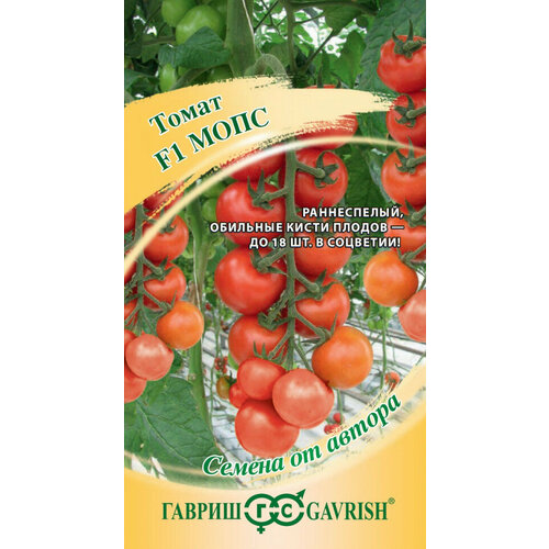 ���������� ������ ����� ���� F1, 5��, ������, ������ �� ������