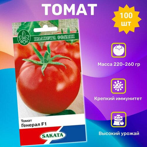 ���������� ������ ������ ������� F1 100��. ���������� ��������