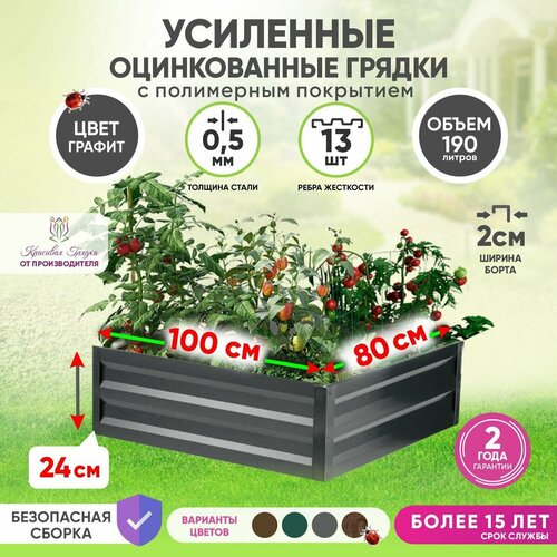 ���������� ������ ������������ �� ���� ��������� 1�0,8 ����� / ���������� ������������� ��� ������ ���� ������ � ������� ������� / ������ ��� ���� � ������� ������ ����� 24 ��