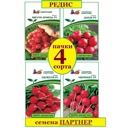 ���������� ����� ������ �������, ����� �����, ����, ������� ������ ������� (4 ��������* 1 � �����)