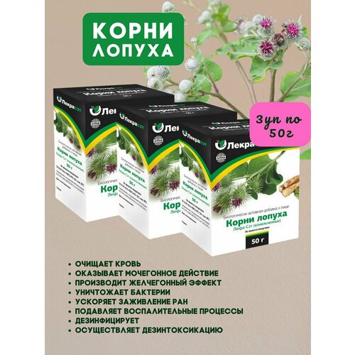 ���������� �����-��� ����� ������ ������������ 3�� �� 50�