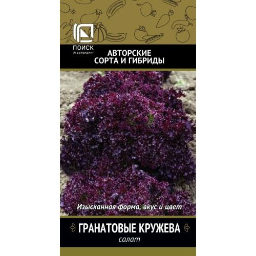 ���������� ������ ����� ���������� ������� ������� �������� 1� ������ (�����)