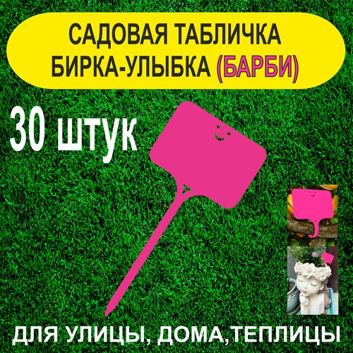 ���������� ������� ����� - ������. �������� ��� ��������. 30 ���� (�����)