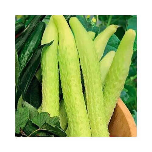 ���������� ������������� ������ ������ F1 ��������� ����� ����