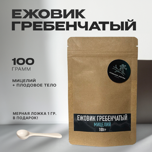 ���������� ������ ����������� 100�� / ��������� ������� / ���� �� �����