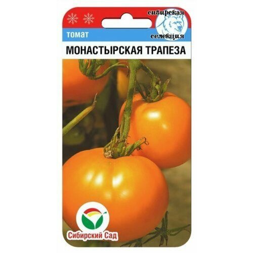 ���������� ������ ����� ������������ ������� 20�� ��� (��������� ���)