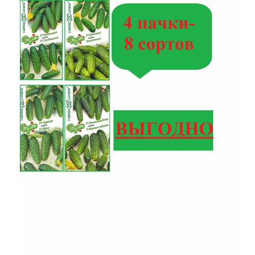 ���������� ����� ������� ����: ��������+ ����������, �������+ ����, ����������+ �����������, ���������� �����+ ��������� ����� (4 �����)