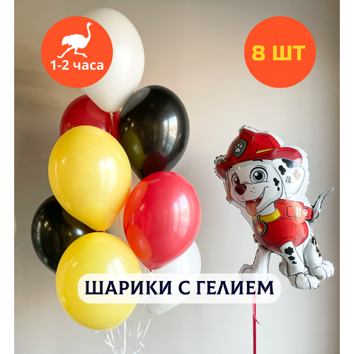 ���������� ������ ��������� �� ���� ��������, ��������� ���� � ������, ���� � ���� ��������, ����� ����� ��� �������� 