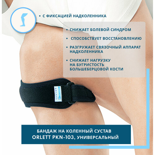���������� Orlett ������ �� �������� ������ PKN-103, ������ �������������, ������