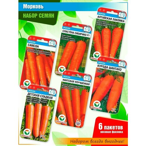 ���������� ����� ����� �������: ������, �������� ��������, ��������� �������, ������� �������, �������� ����������, ������ ������� �� ���������� ���� (6 �����)