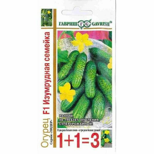 ���������� ������ ������ ���������� ������� F1 ����, �����������, (������) 20�� ���1+1