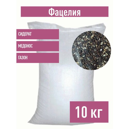 ���������� ������� ������, 10 �� ������� ������� �����