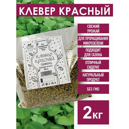 ���������� ������ ������� ������ 2 ��.