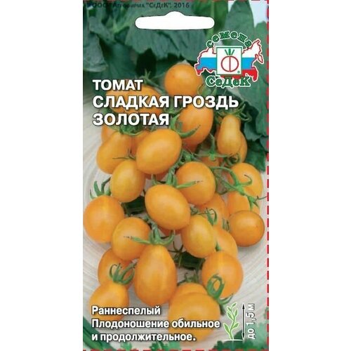 ���������� ����� ������� ������ ������� (3 ��������), ������