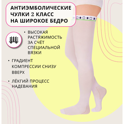 ���������� ���������������� ����� 2 ������ � �������� �� ����������� ������, ������ XXL �� ������� �����
