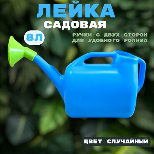 ���������� ����� ������� 8� / ����� ��� ���� � ������������� 8 ������ / ������� �����