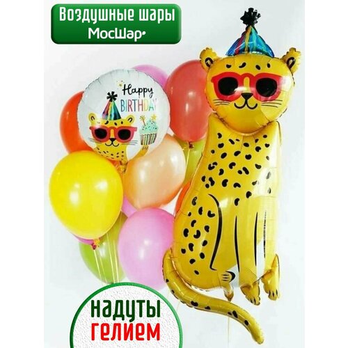 ���������� ����� ��������� �����, ������ ����� � ������ �� ���� �������� ������ ������